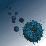 Fisica gas quantistici